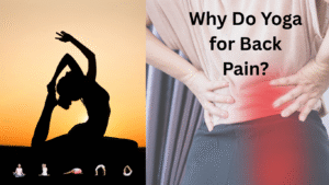 Why Do Yoga for Back Pain?