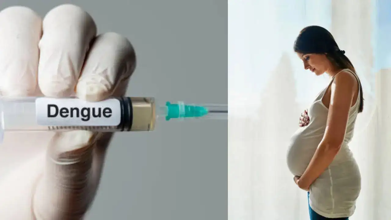 NOIDA DENGUE EMERGENCY